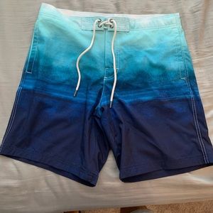 American Eagle swim board shorts